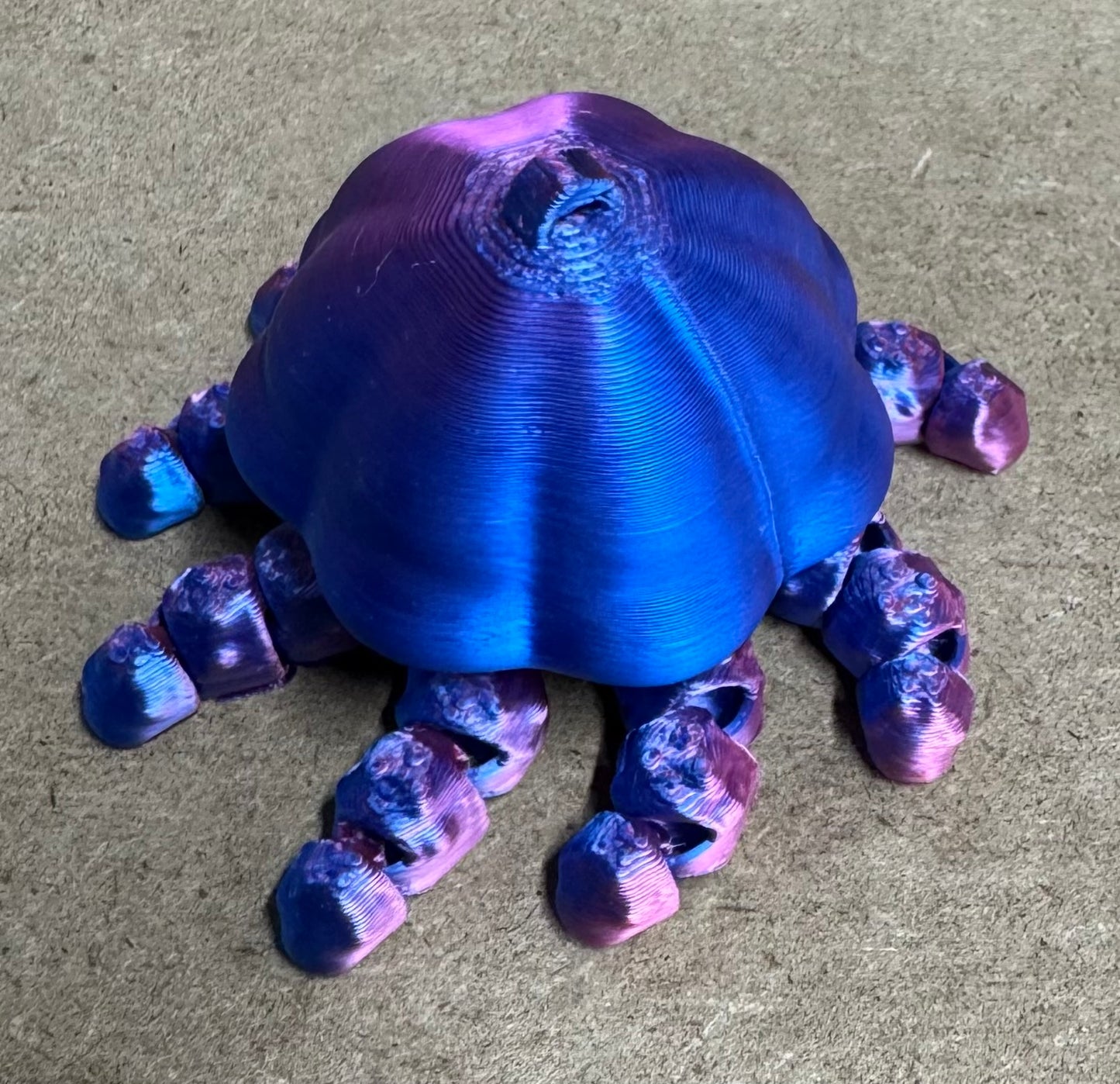 Jellyfish