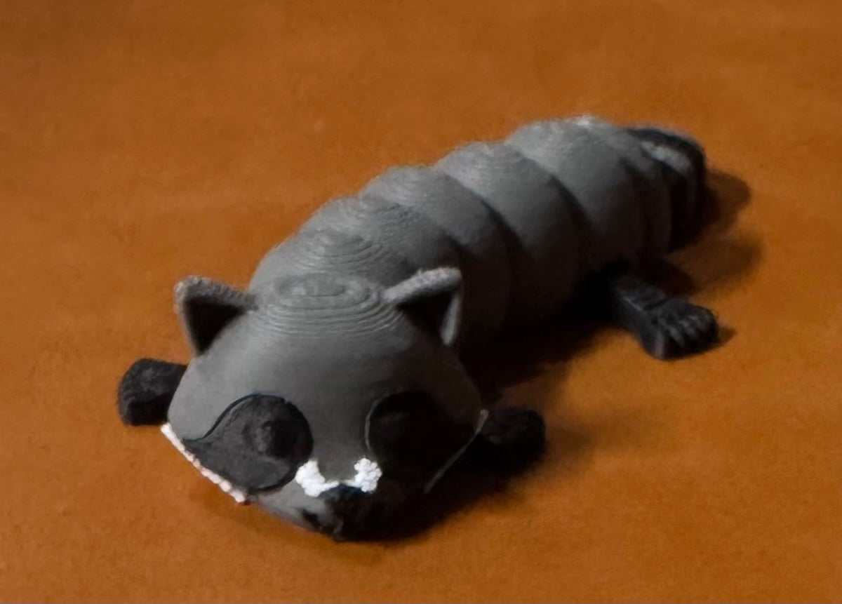 Raccoon