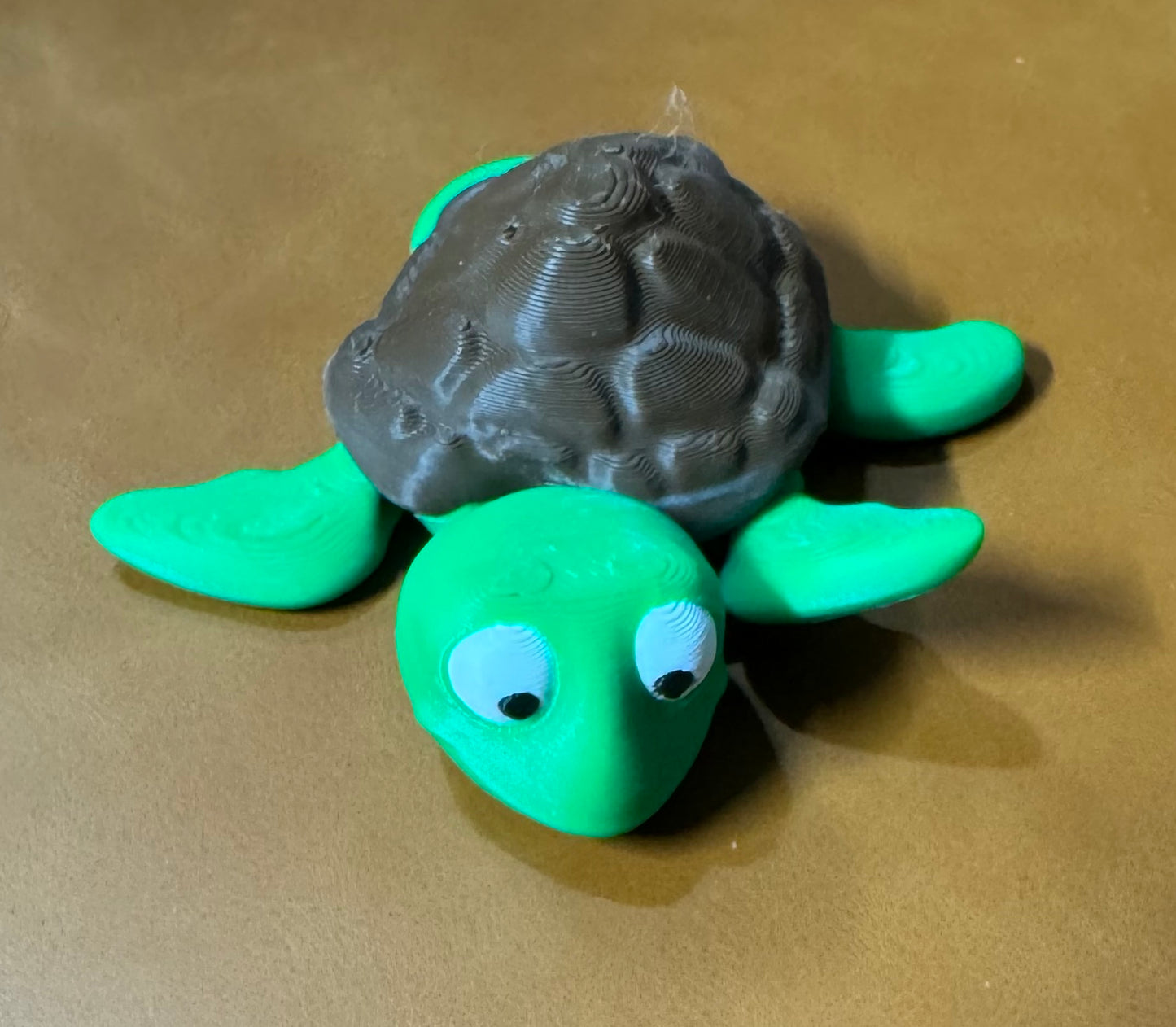 Turtle