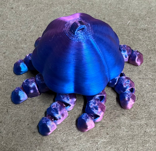 Jellyfish